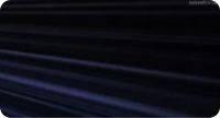 Capitulo 10